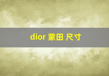 dior 蒙田 尺寸